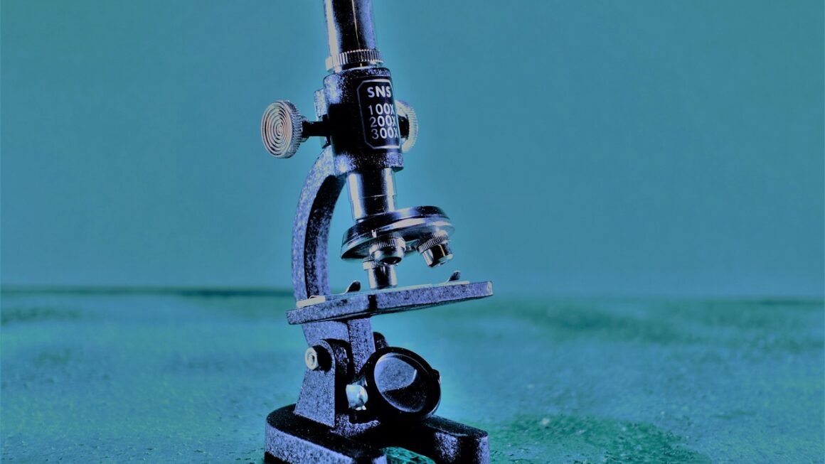 Decoding Benefits: Navigate Enrollment Like A Pro