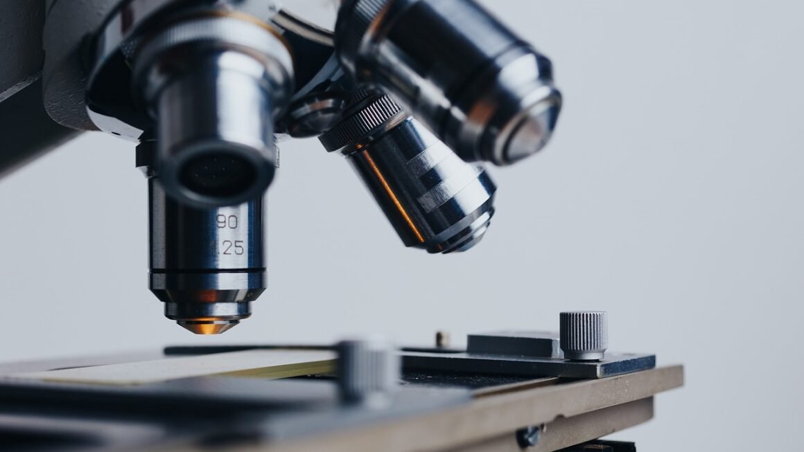 Medicare HMO: Unlocking Value, Navigating Networks