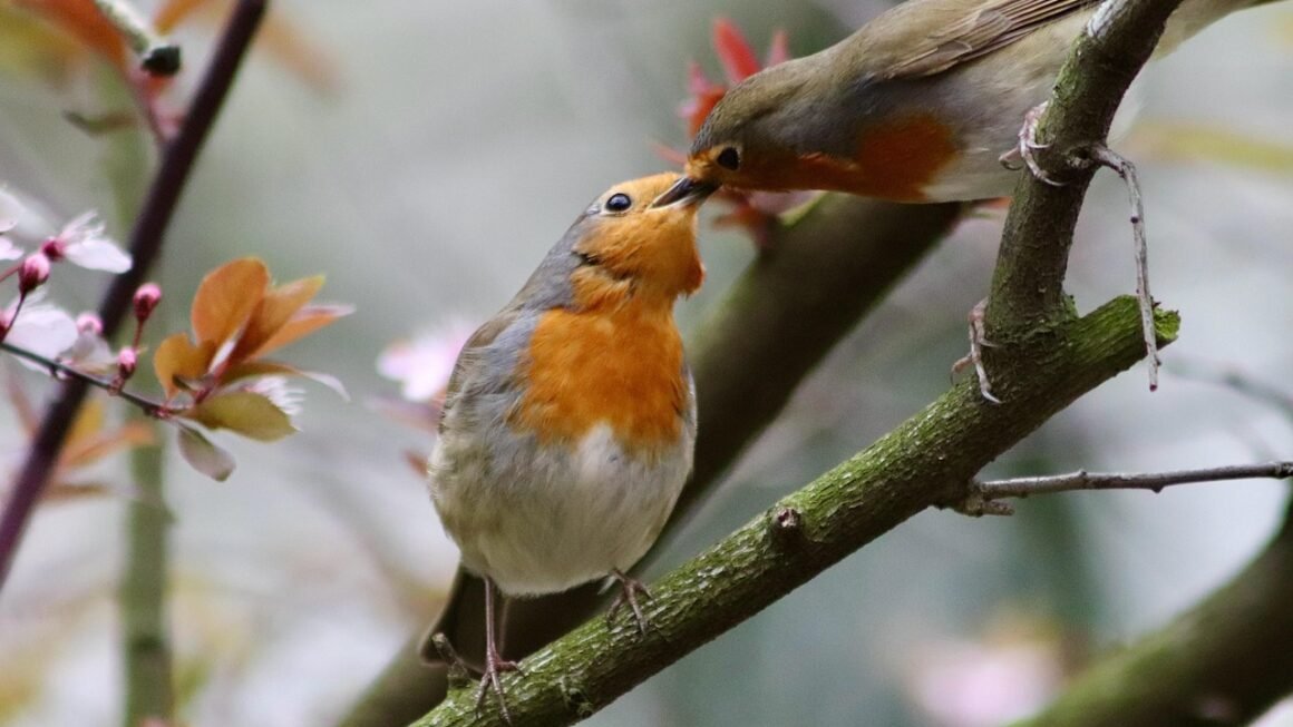 Aging Wisely: Navigating Senior Cares Hidden Pathways