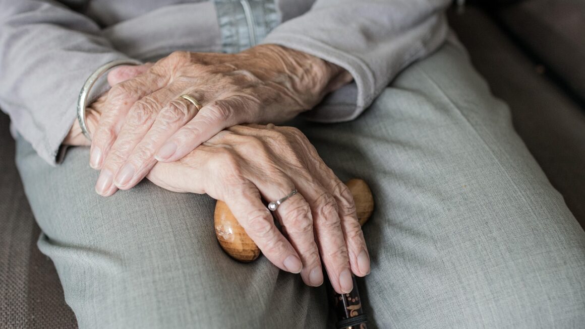 Beyond Bingo: Rethinking Senior Health Service Models
