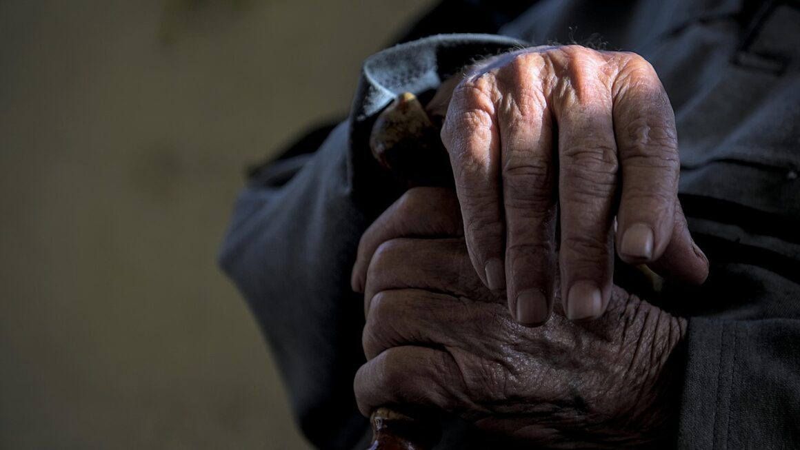 Aging Well: Provider Innovation For Complex Senior Care