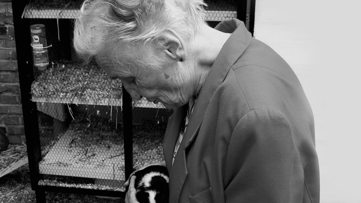 Beyond Pills: Holistic Senior Medical Care Models