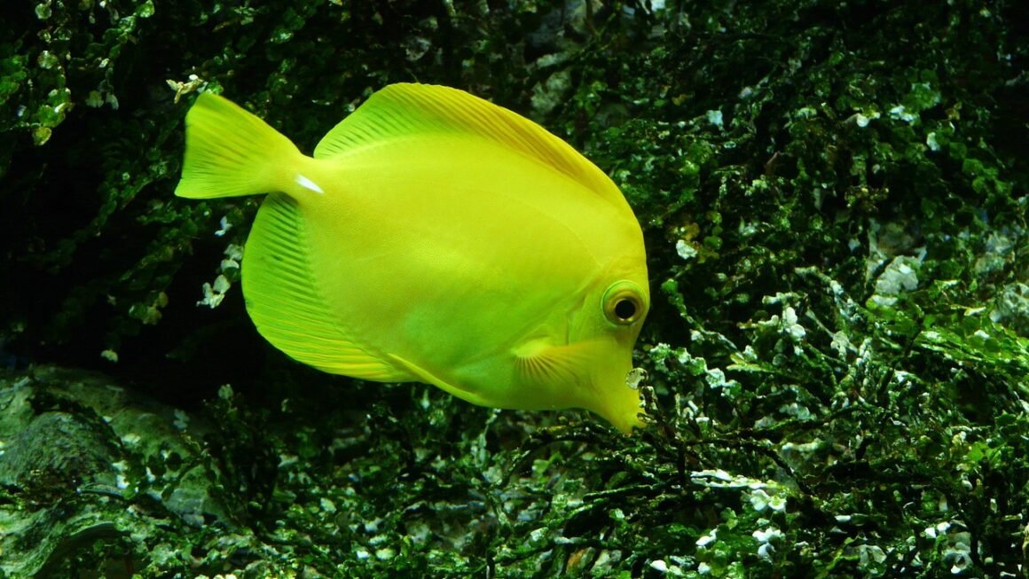 Beyond Data Entry: Rethinking The Enrollment Form