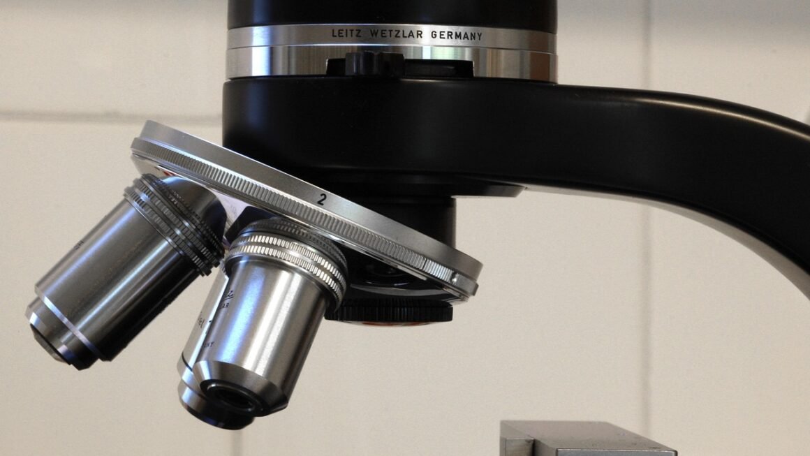 Beyond Paper: Digital Enrollments Accessibility Revolution