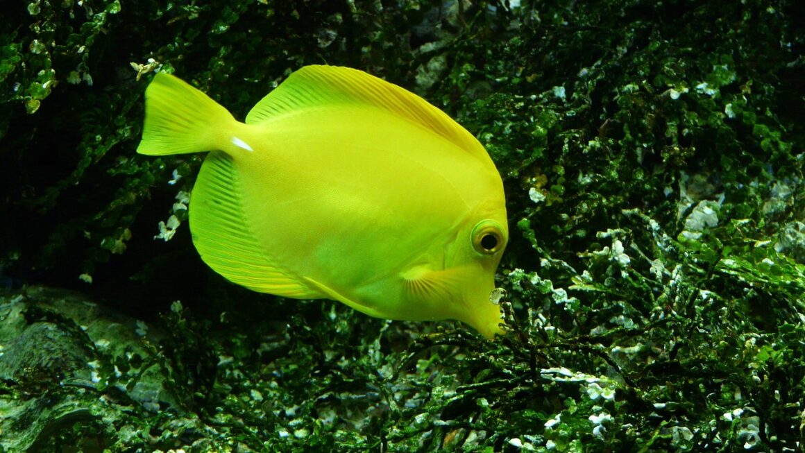 ACA Enrollment: Untapped Subsidies And Community Outreach