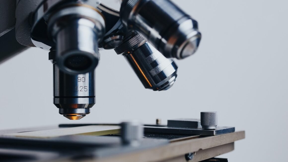 Beyond Brochures: Enrollment Support For Modern Learners