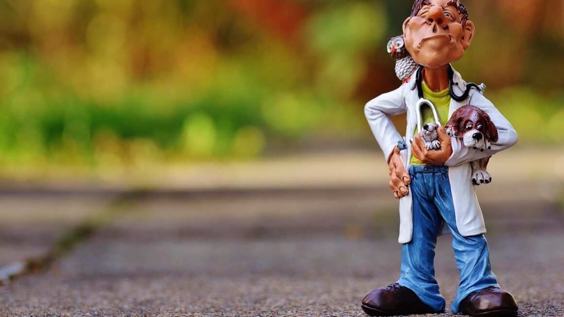 Navigating Enrollment: Unlock Your Ideal Education Path