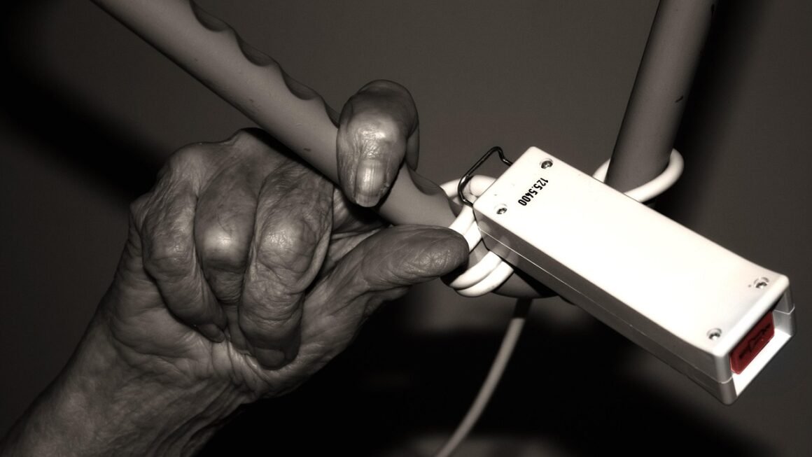 Beyond Assisted Living: Tailoring Elder Care Journeys