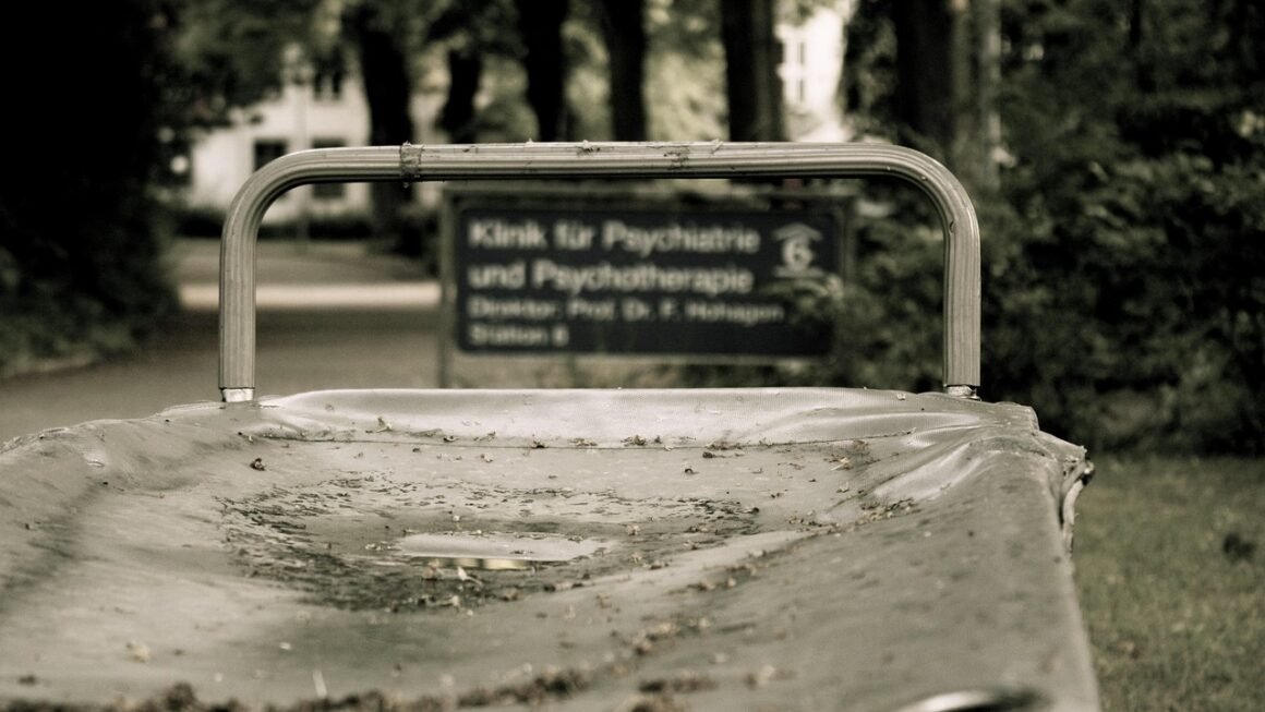 Beyond Walkers: Reimagining Senior Independence Through Tech